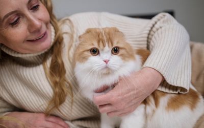 Las Mascotas y el COVID-19