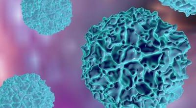 Preguntas y Respuestas sobre la Poliomielitis